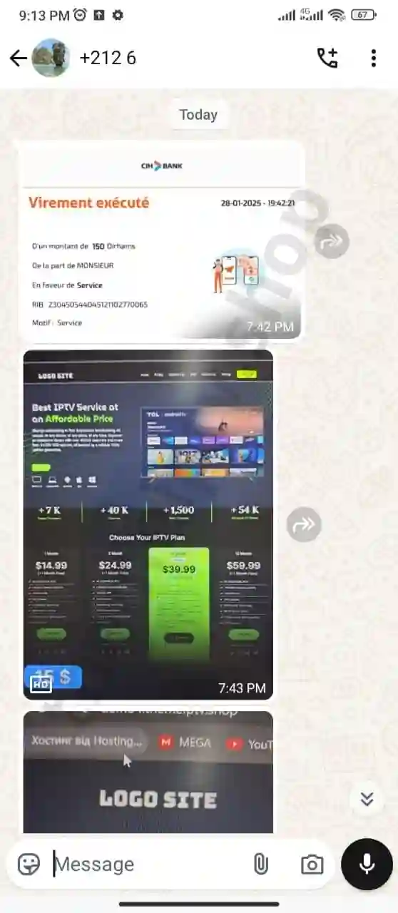 themeiptv.shop (10)